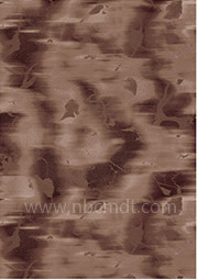 1561339550239945.jpg 1561339550239945.jpg